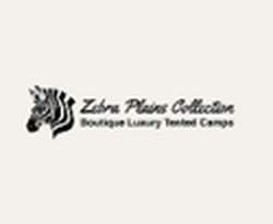Zebra Plains Collection