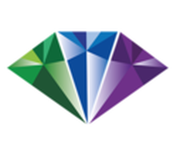 The Jewelers Guild